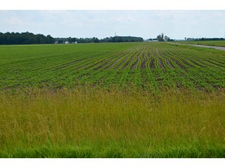 Property photo 54 - LAND AUCTION - 700+/- ACRES OFFERED IN 16 TRACTS IN ALLEN COUNTY, INDIANA